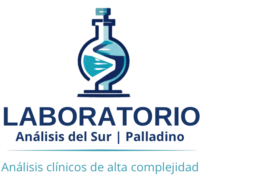 Analisis del sur
